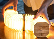 Load image into Gallery viewer, Gingko: Walnut Accordion - Small LED Light