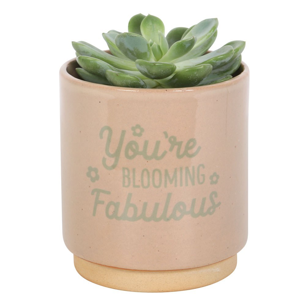 'You're Blooming Fabulous' Plant Pot