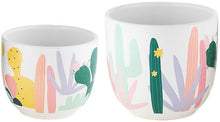 Load image into Gallery viewer, Maxwell &amp; Williams: Rach Jackson Sunset Planter - Cactus (Set of 2)