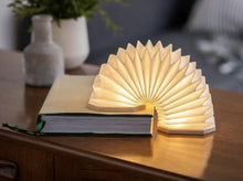 Load image into Gallery viewer, Gingko: Walnut Accordion - Small LED Light