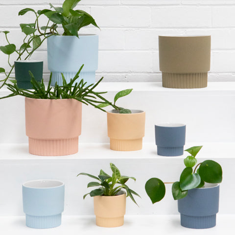 Medium Size Pots, Indoor Pots Nz