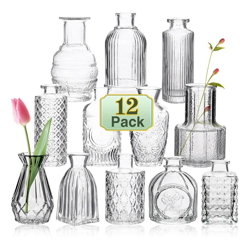 Glass Bud Vase Set (Set of 12)