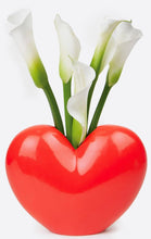 Load image into Gallery viewer, DOIY: Love Vase - Red