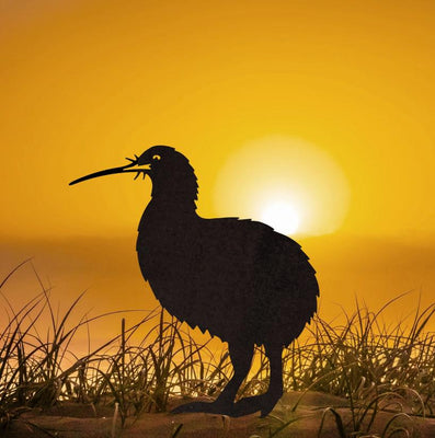 Metalbird: Brown Kiwi Garden Art