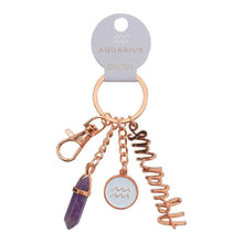 Load image into Gallery viewer, Splosh: Aquarius Keyring