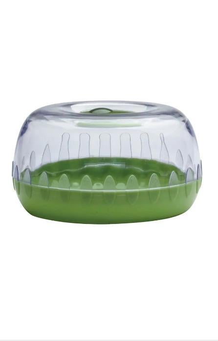 Cuisena: Fresh Keeper Pod Avocado