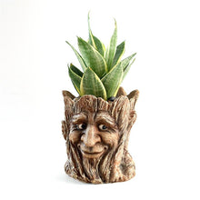 Load image into Gallery viewer, GREENYHAVEN Face Planter Pot