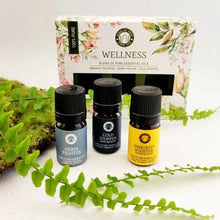 Load image into Gallery viewer, Wellness Essential Oils Gift Pack
