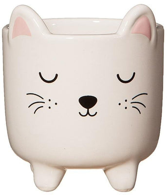Sass & Belle: Mini Cat Planter on Legs