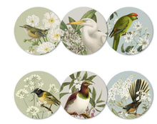 Load image into Gallery viewer, 100% NZ: Birds &amp; Botanicals of NZ Coasters