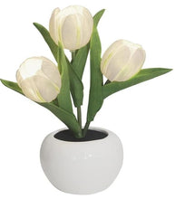 Load image into Gallery viewer, LUMIRO Tulip Night Light - White