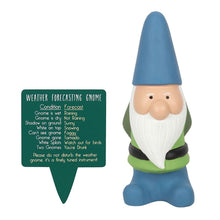 Load image into Gallery viewer, Blue Weather Forecasting Gnome - Large