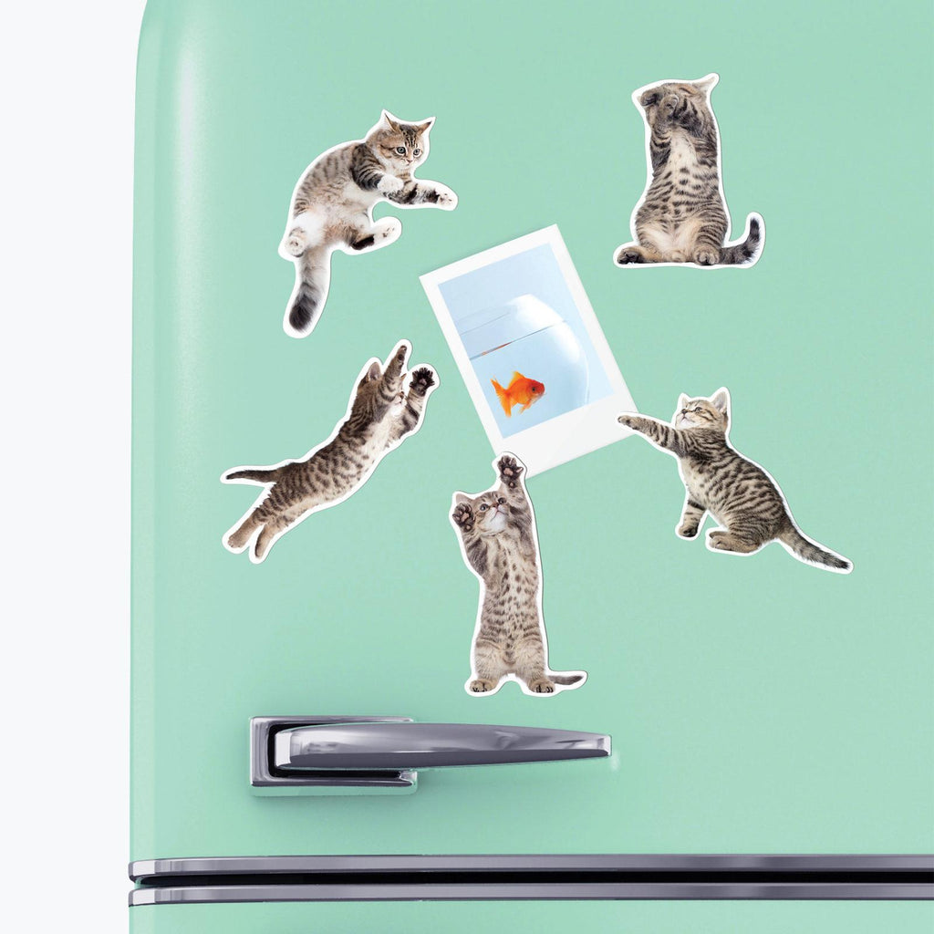 Mustard: Action Cat - Fridge Magnets