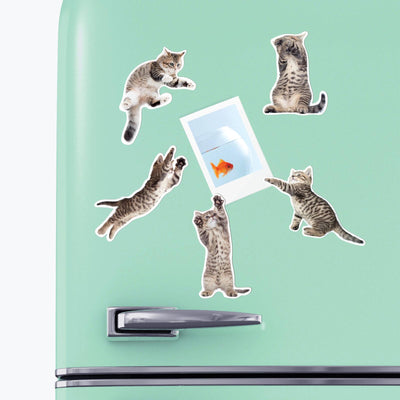 Mustard: Action Cat - Fridge Magnets