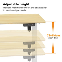 Load image into Gallery viewer, Ergolux Electric Standing Desk 120 x 60cm (Oak/White)