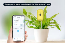 Load image into Gallery viewer, Kogan SmarterHome(TM) Bluetooth Soil Moisture and Temperature Sensor
