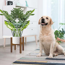 Load image into Gallery viewer, GREENYHAVEN 2-Pack Plant Stands - Brown