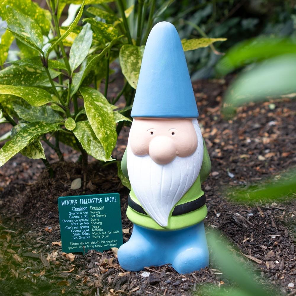Blue Weather Forecasting Gnome - Large
