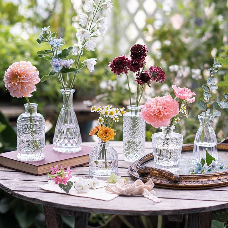 Glass Bud Vase Set (Set of 12)