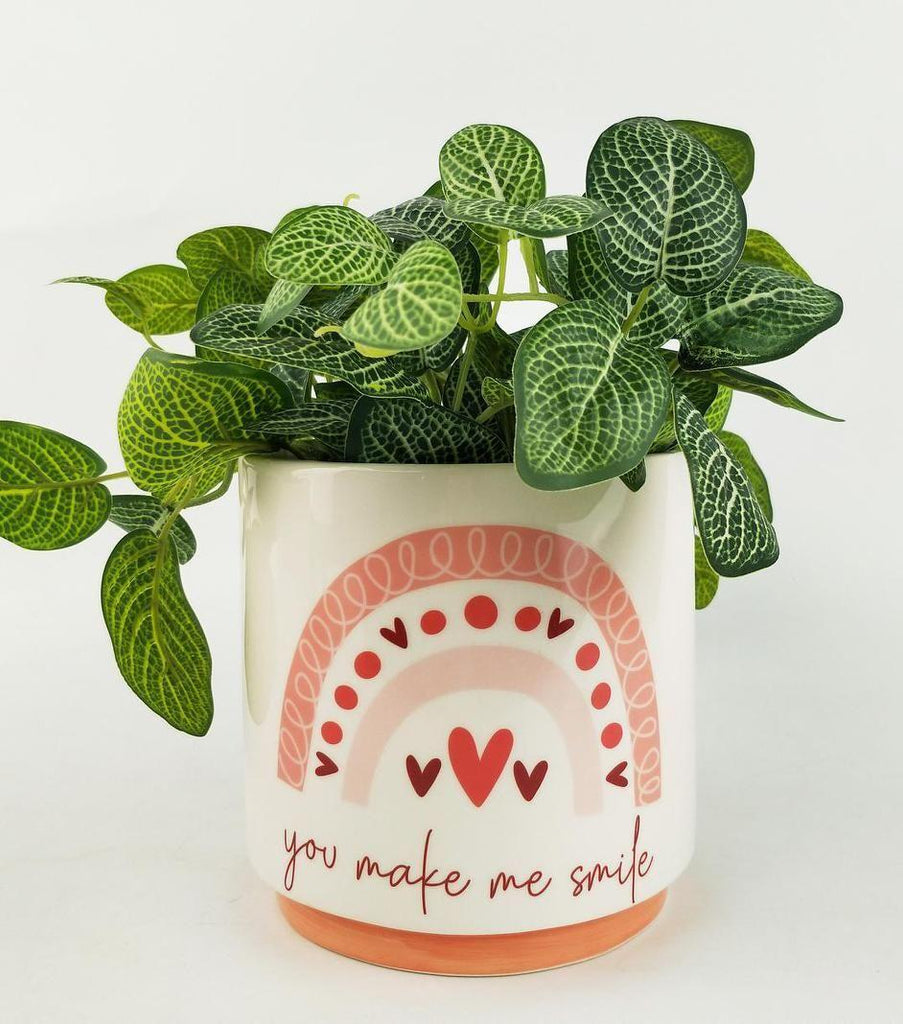 Urban Products: You Make Me Smile Planter - Pink