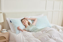 Load image into Gallery viewer, Fraser Country Set of 2 Shredded Memory Foam Pillow