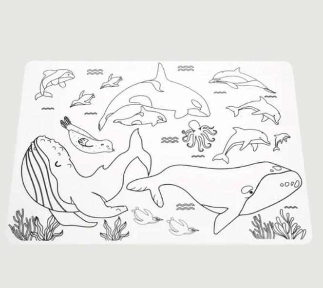 Moana Road: Silicone Colouring Placemats - Animals of Aotearoa