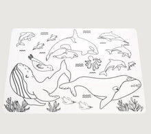 Load image into Gallery viewer, Moana Road: Silicone Colouring Placemats - Animals of Aotearoa