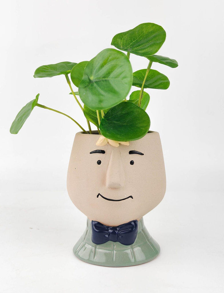 Urban Products: Boy Planter - Sage