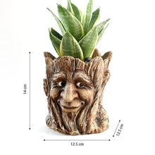 Load image into Gallery viewer, GREENYHAVEN Face Planter Pot