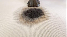 Load image into Gallery viewer, Kogan StainClean Lightweight Carpet and Upholstery Spot Cleaner