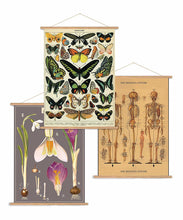 Load image into Gallery viewer, Cavallini: Vintage Poster Kit - Vertical - Cavallini &amp; Co