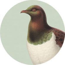 Load image into Gallery viewer, 100% NZ: NZ Kereru Cork Backed Placemat Set (6 Pack)