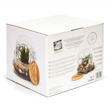 Load image into Gallery viewer, Star Wars: Stormtrooper Terrarium