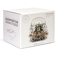 Load image into Gallery viewer, Star Wars: Stormtrooper Terrarium