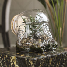 Load image into Gallery viewer, Star Wars: Stormtrooper Terrarium