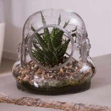 Load image into Gallery viewer, Star Wars: Stormtrooper Terrarium