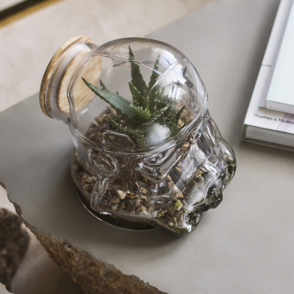 Star Wars: Stormtrooper Terrarium