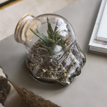 Load image into Gallery viewer, Star Wars: Stormtrooper Terrarium