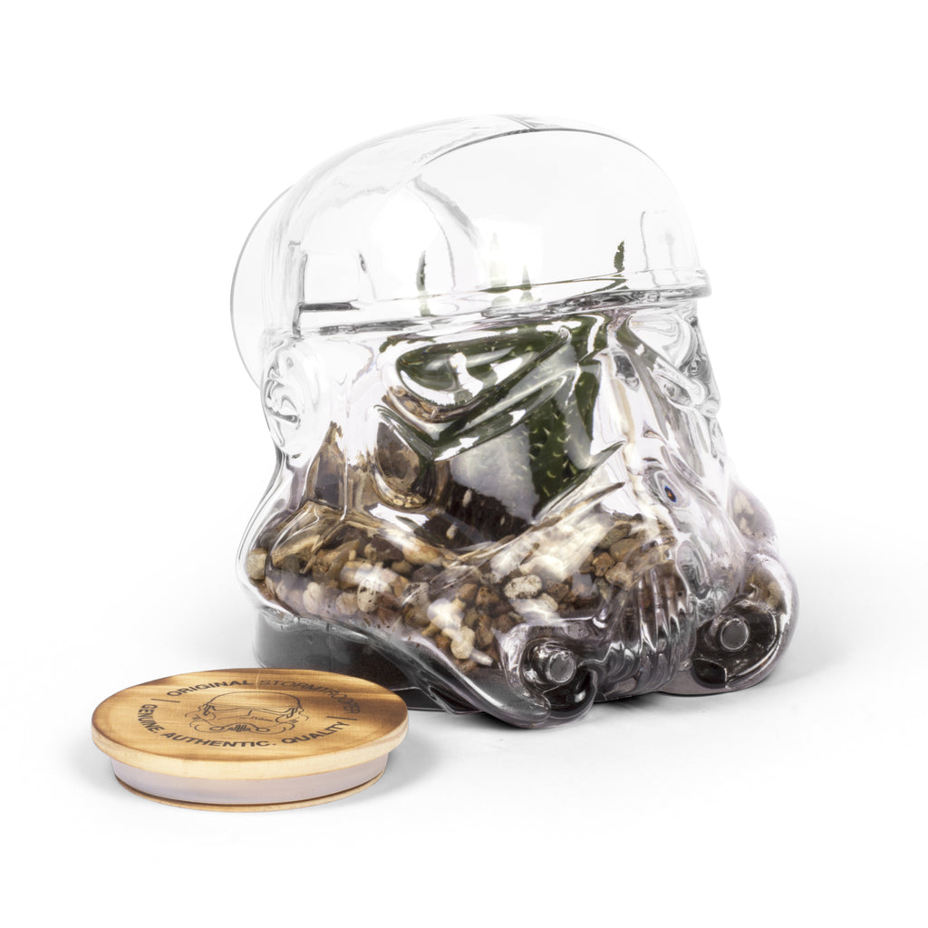 Star Wars: Stormtrooper Terrarium