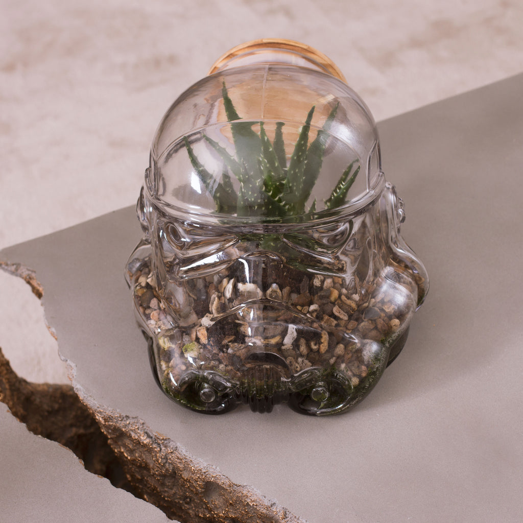 Star Wars: Stormtrooper Terrarium