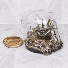 Load image into Gallery viewer, Star Wars: Stormtrooper Terrarium