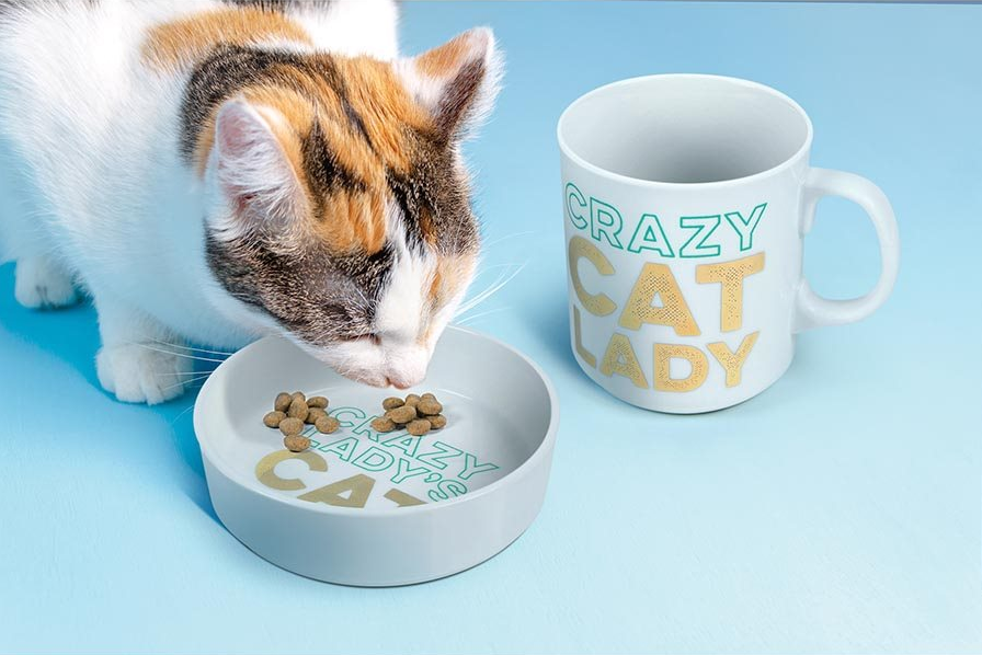 Fred Crazy Cat Lady - Pet Bowl and Mug Set