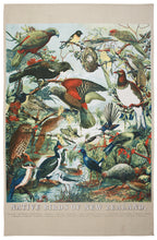 Load image into Gallery viewer, Native Birds Of NZ - Prestige Tea Towel