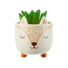 Load image into Gallery viewer, Sass &amp; Belle: Mini Planter