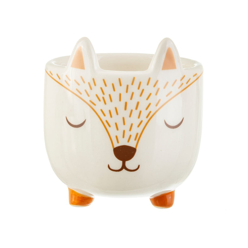 Sass & Belle: Mini Planter