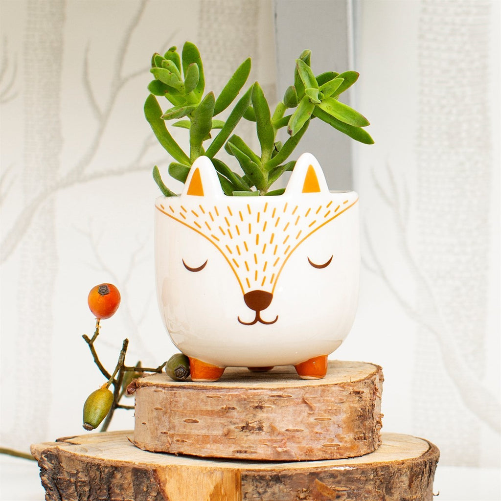 Sass & Belle: Mini Planter