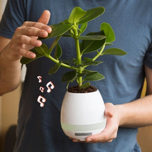 Load image into Gallery viewer, Thumbs Up: Plant Pot Speaker - Thumbs Up!
