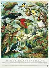 Load image into Gallery viewer, Native Birds Of NZ - Prestige Tea Towel