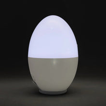 Load image into Gallery viewer, Rechargeable Night Light - Stellar Haus