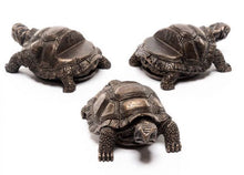 Load image into Gallery viewer, Jardinopia: Potty Feet - Antique Bronze Tortoise